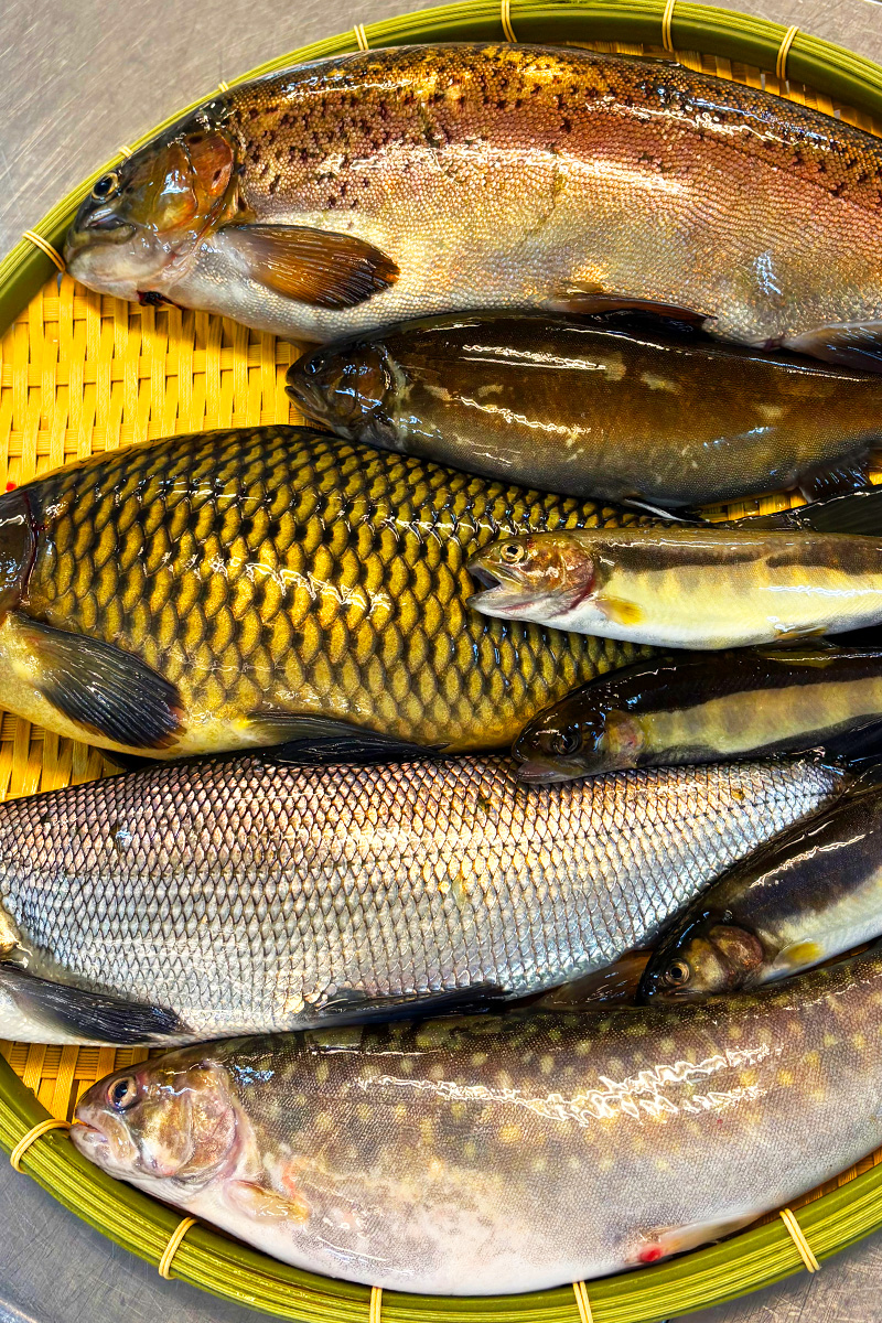 鮮度